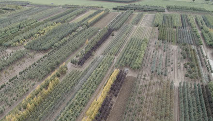 over-ons-hectare over-ons-hectare